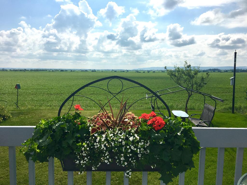 Champ Soleil Bed & Breakfast Metabetchouan Exterior foto